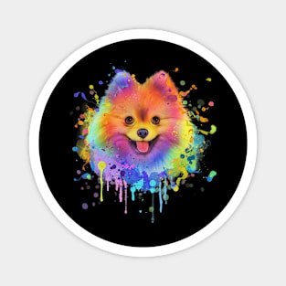 Pomeranian Dog Splash Art Magnet